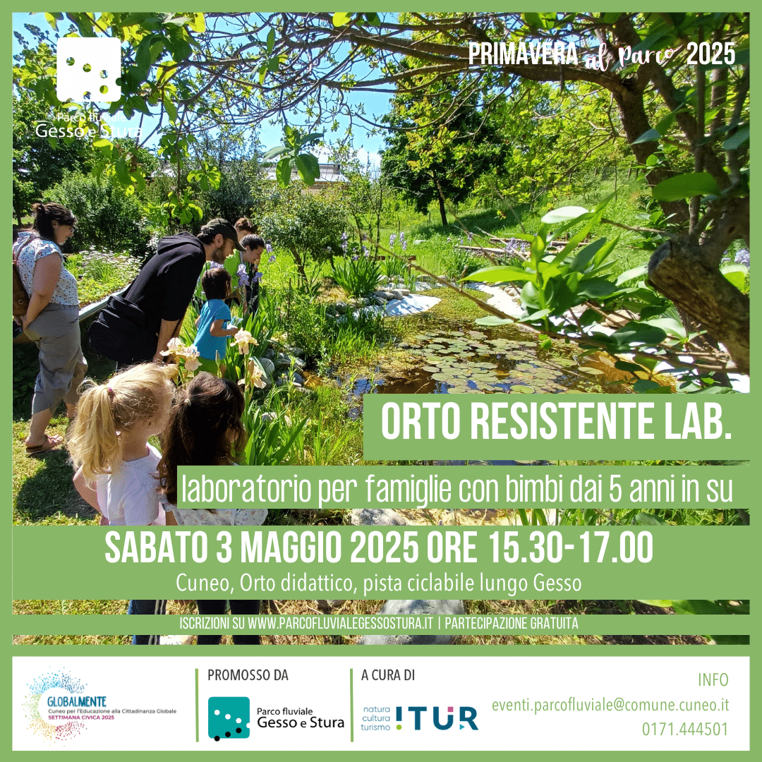 ORTO RESISTENTE LAB