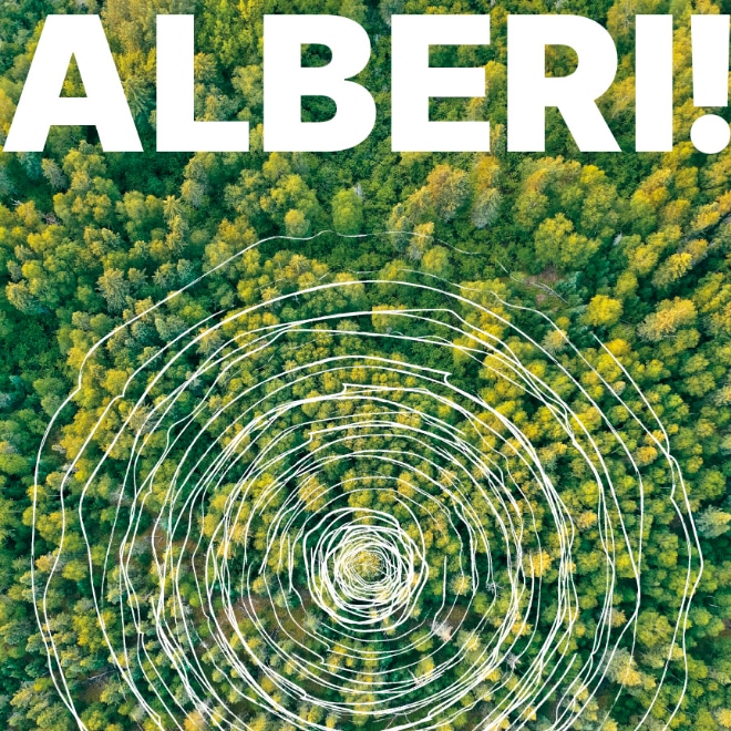 Alberi!