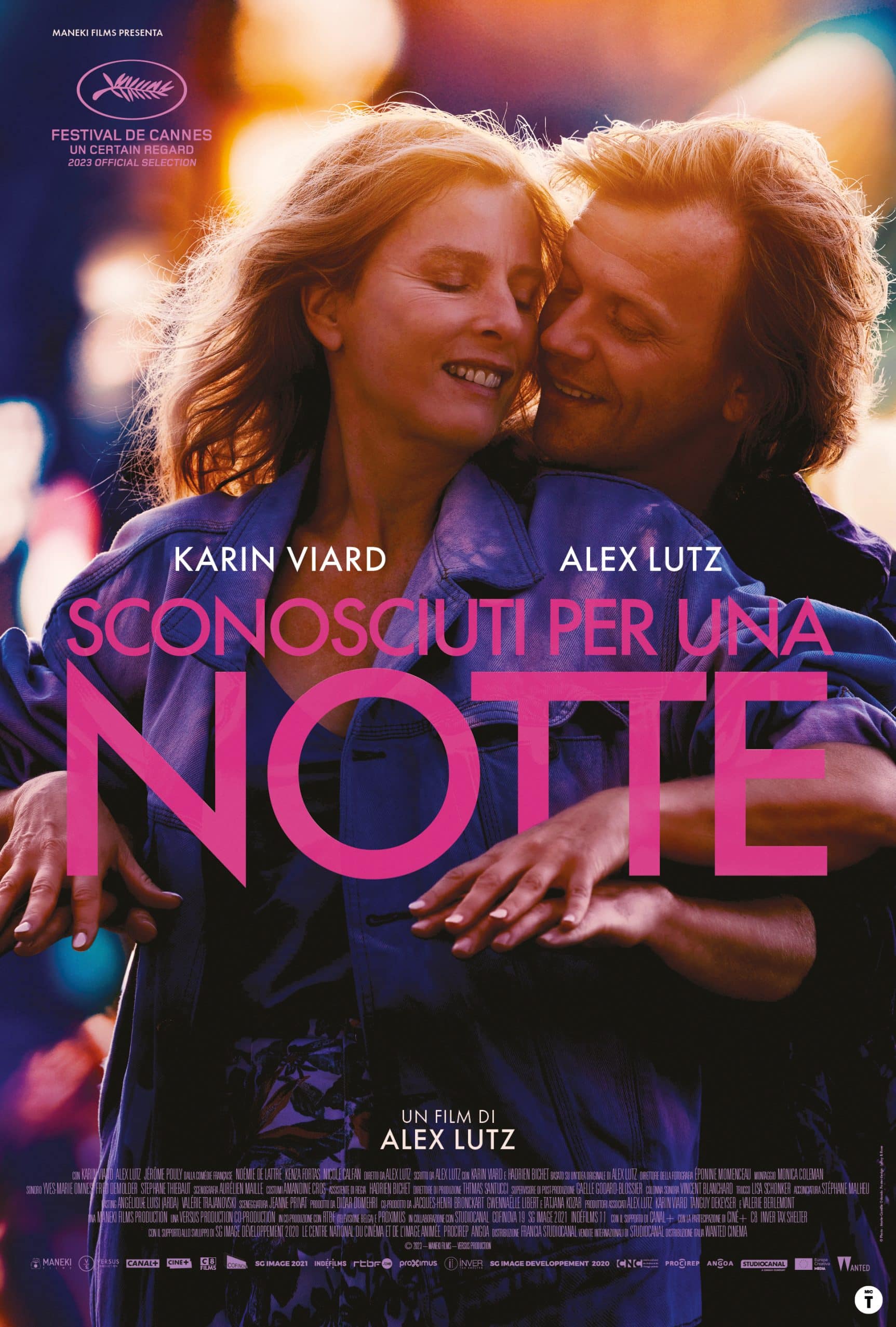 SCONOSCIUTI PER UNA NOTTE