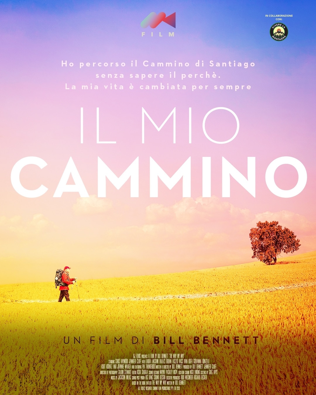 IL MIO CAMMINO