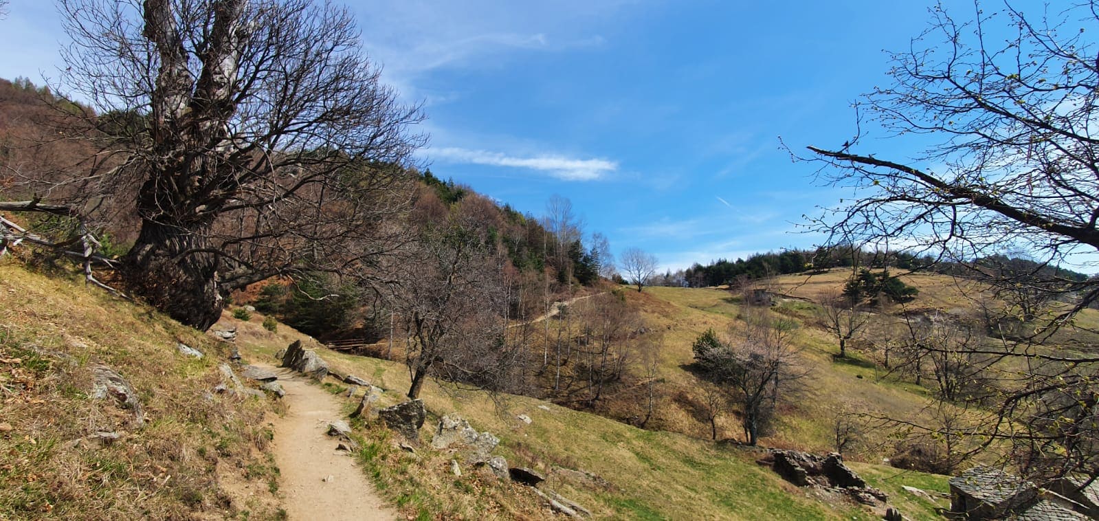 Respirare le alte vie in primavera