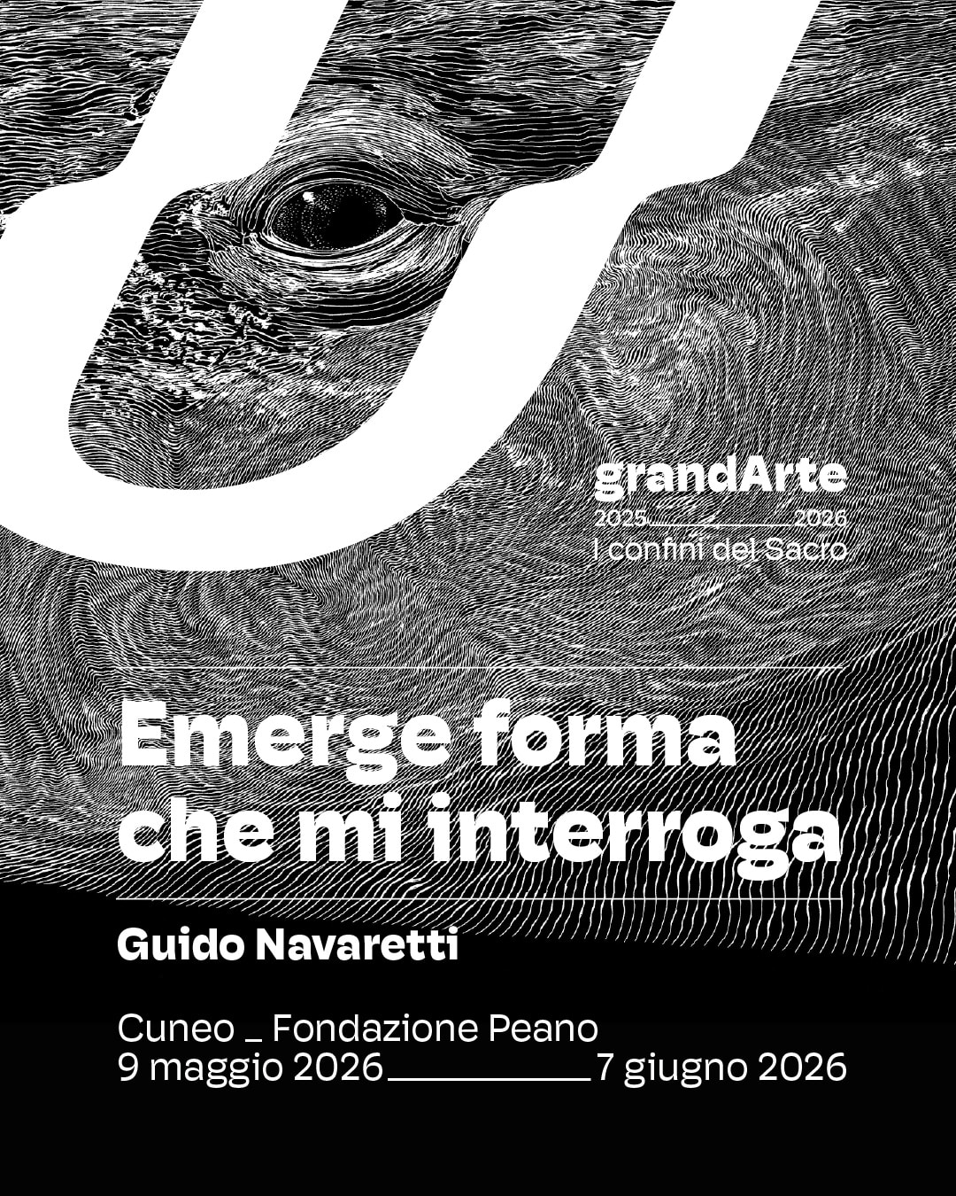 Emerge forma che mi interroga