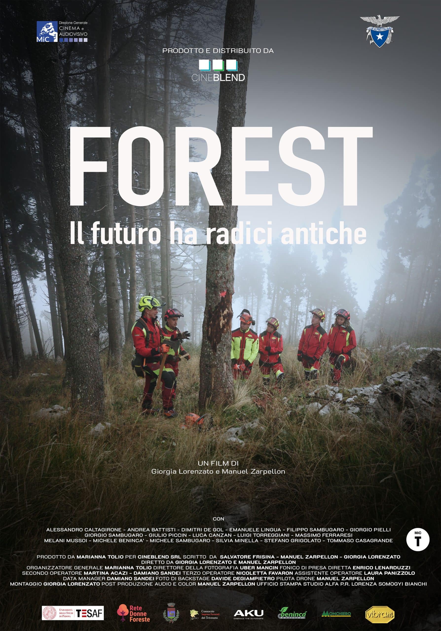 FORÊT – L’AVENIR A DES RACINES ANCIENNES