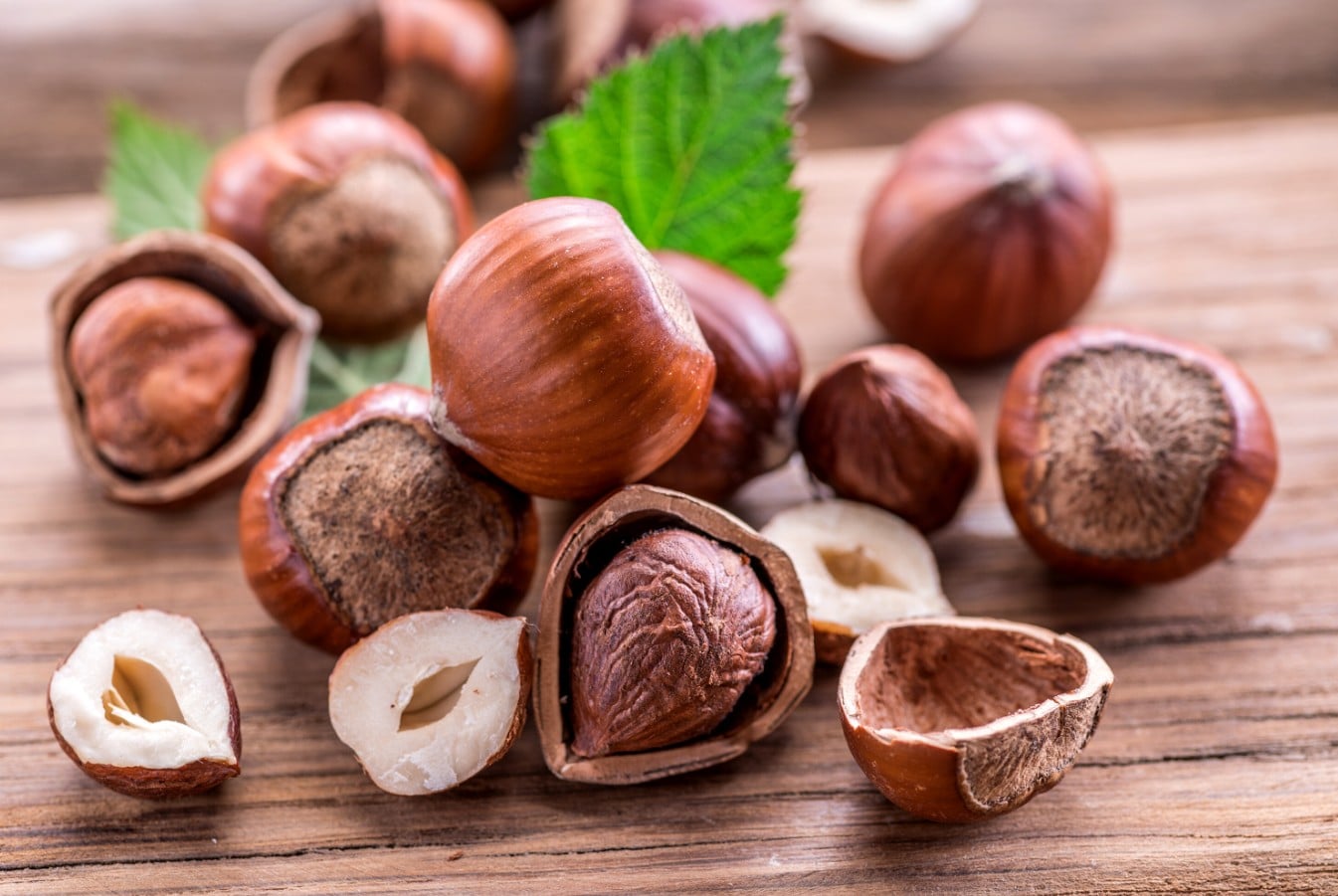 CONNAÎTRE LES SAVEURS. La noisette